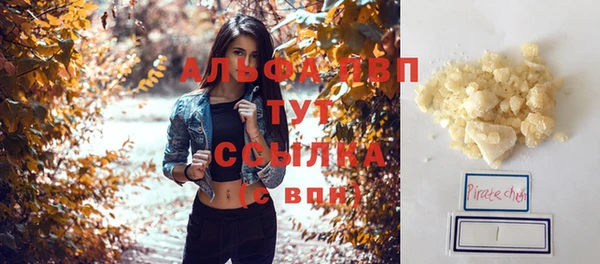 индика Нефтегорск