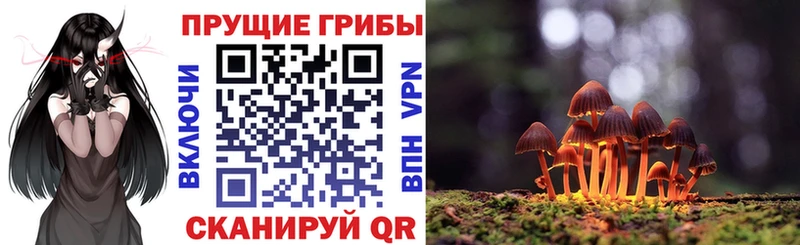 купить   Медынь  Псилоцибиновые грибы MAGIC MUSHROOMS 